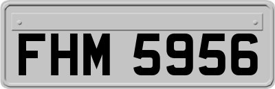 FHM5956