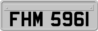 FHM5961