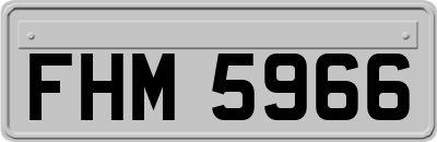 FHM5966