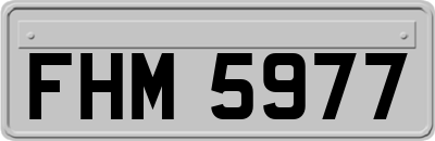 FHM5977