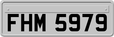 FHM5979