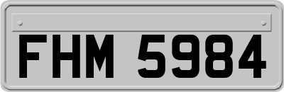 FHM5984