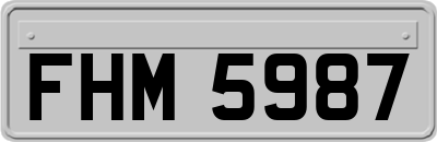 FHM5987