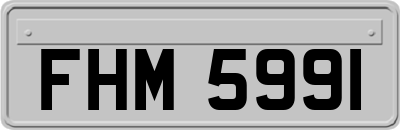 FHM5991