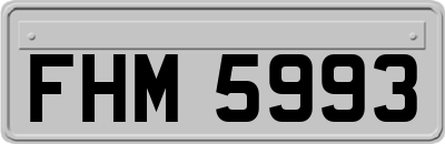 FHM5993