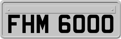 FHM6000