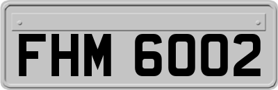 FHM6002
