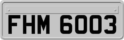FHM6003
