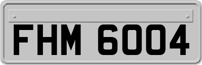 FHM6004