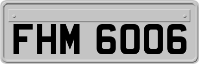 FHM6006