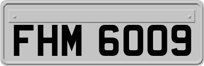FHM6009