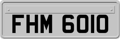 FHM6010