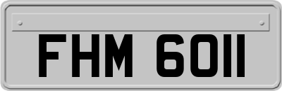 FHM6011