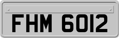 FHM6012