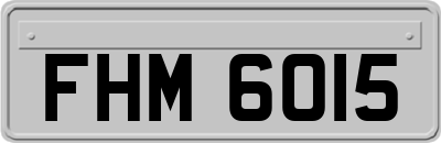 FHM6015