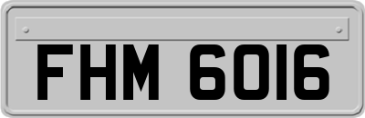 FHM6016