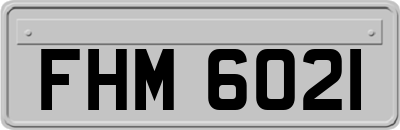 FHM6021