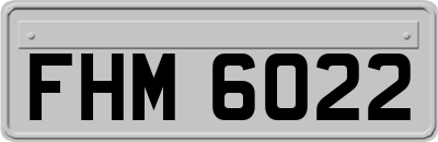 FHM6022