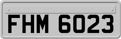FHM6023