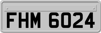 FHM6024