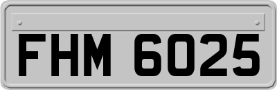 FHM6025
