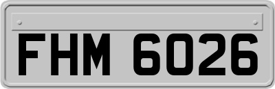 FHM6026