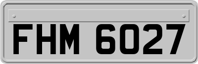 FHM6027