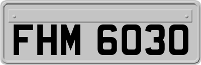 FHM6030