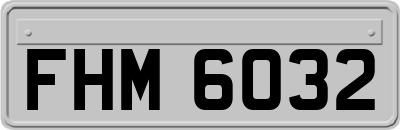 FHM6032