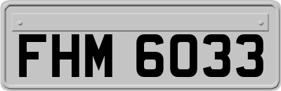 FHM6033