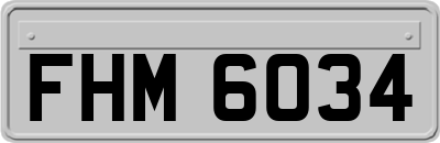 FHM6034