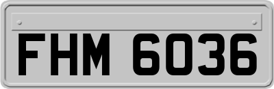 FHM6036