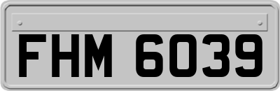 FHM6039