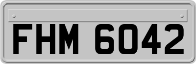 FHM6042