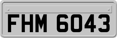 FHM6043