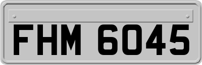 FHM6045