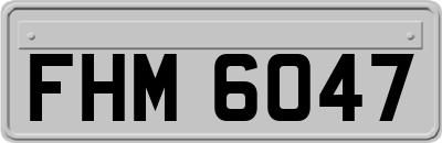 FHM6047