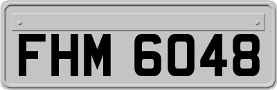 FHM6048