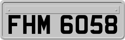 FHM6058