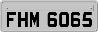 FHM6065