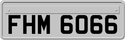 FHM6066