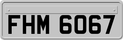 FHM6067