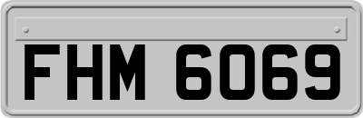 FHM6069