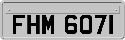 FHM6071