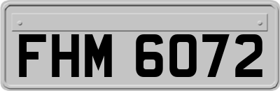 FHM6072