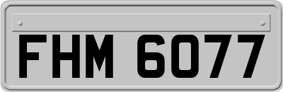 FHM6077