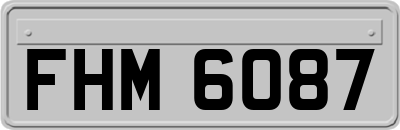 FHM6087