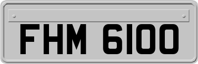 FHM6100