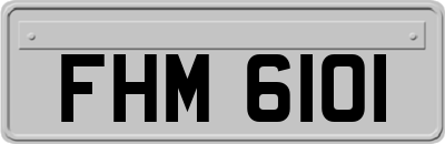 FHM6101