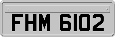 FHM6102